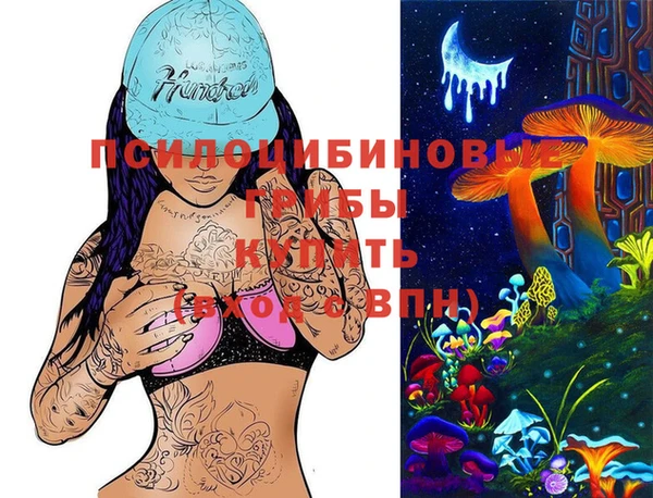 прущие грибы Алзамай