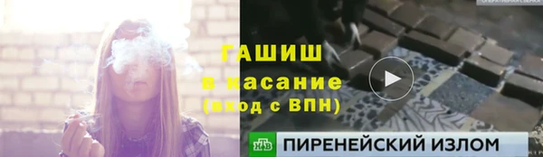 прущие грибы Алзамай