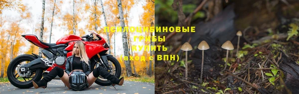 прущие грибы Алзамай