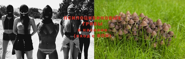 прущие грибы Алзамай