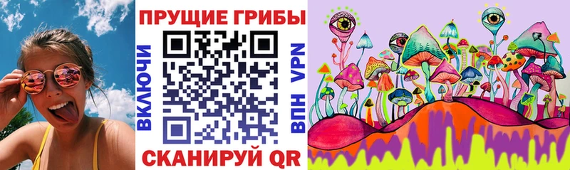 Галлюциногенные грибы Psilocybe  маркетплейс как зайти  Киселёвск  купить закладку 